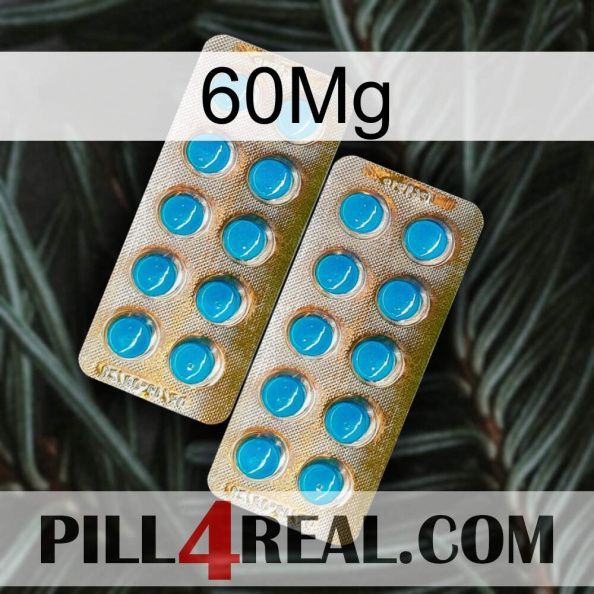 60Mg new08.jpg